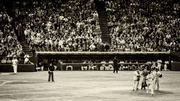 24th Jul 2013 - take me out to the ball game...
