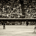 take me out to the ball game... by northy