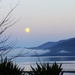 Early morn Late moon by kiwinanna