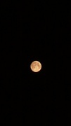 22nd Jul 2013 - Moon