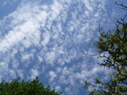 24th Jul 2013 - The sky above me