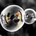 Double Bubble reflection b&w&y_6073 by gardencat