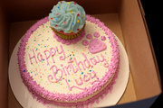3rd Jul 2013 - Lucy's Cake!