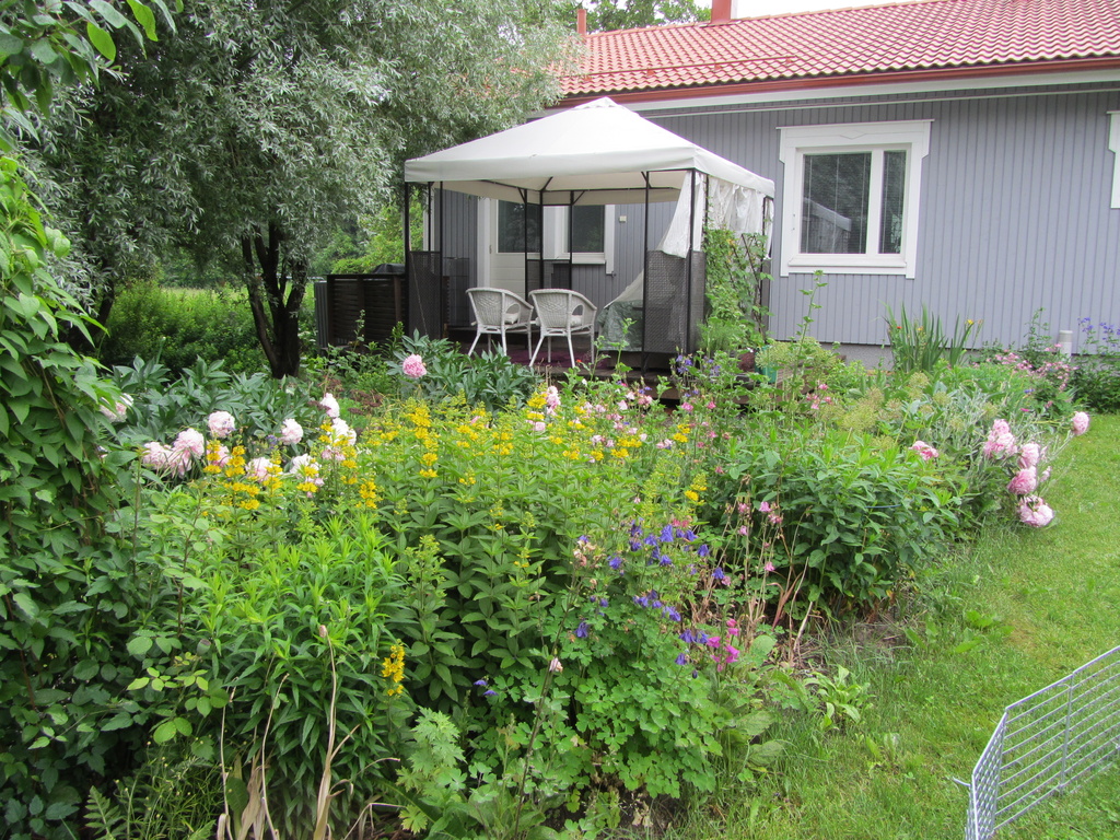 Vilma's garden IMG_3416 by annelis
