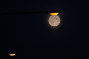 24th Jun 2013 - Super Moon IMG_7639
