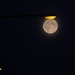 Super Moon IMG_7639 by annelis
