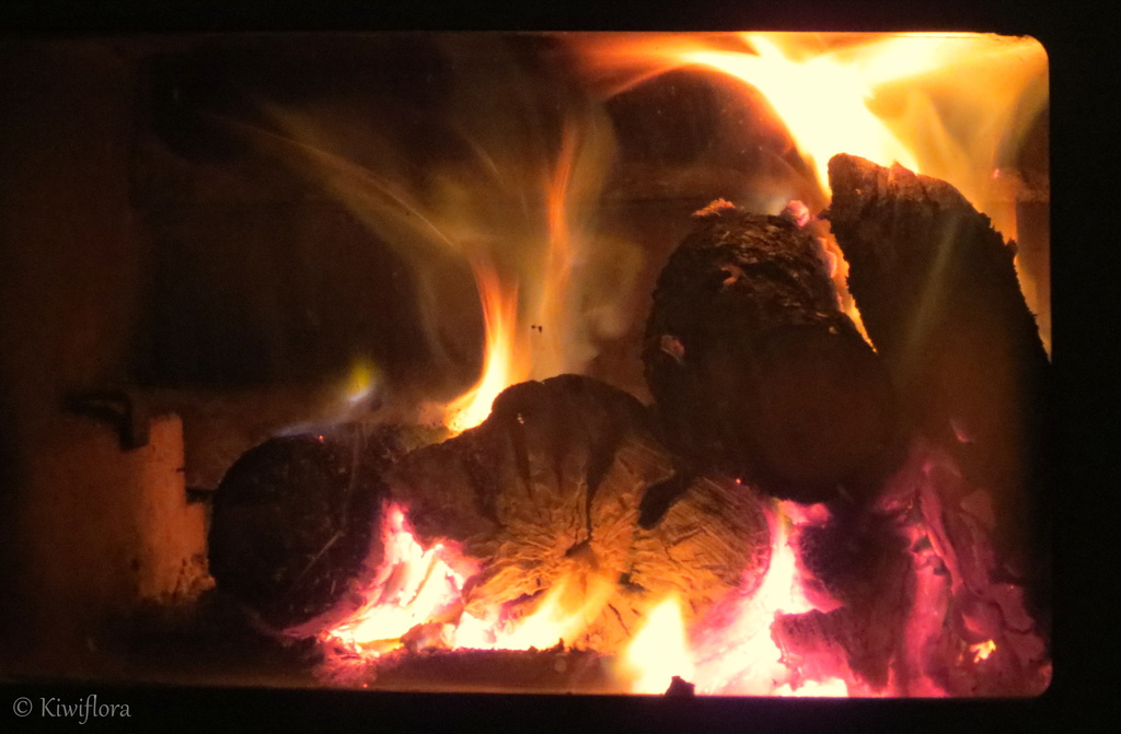 Log Burner by kiwiflora