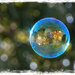 World in a bubble by gardencat