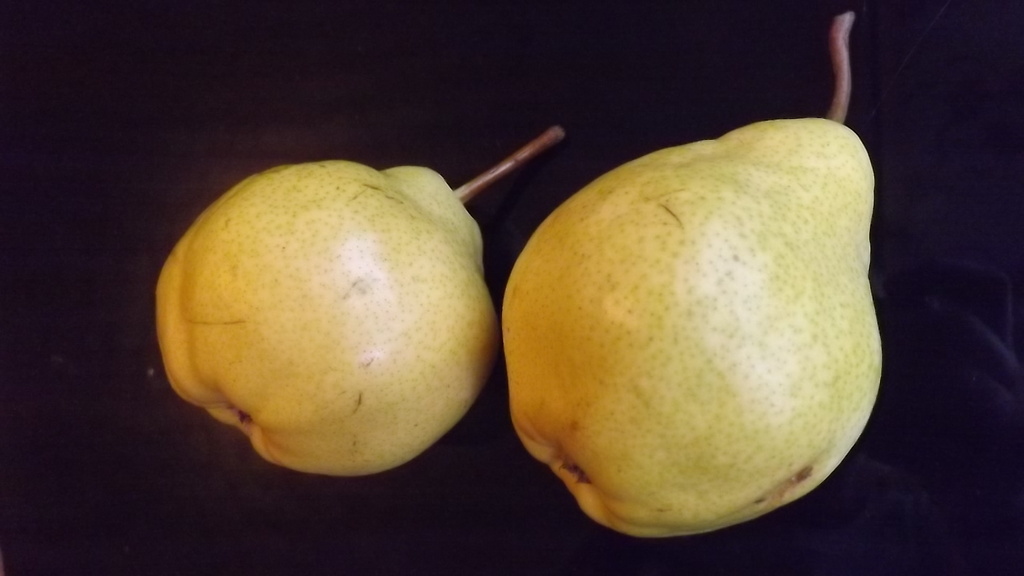 Pair of Pears by plainjaneandnononsense