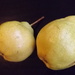 Pair of Pears by plainjaneandnononsense