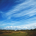 Day 207 - The 16th Fairway, Royal Birkdale by stevecameras