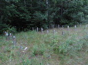 29th Jun 2013 - Abandoned graveyard for pets