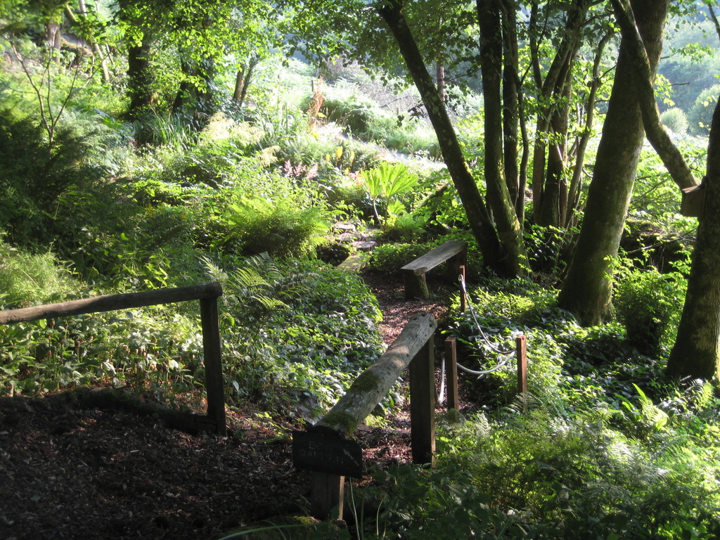 The Bog Garden by susiemc