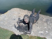 1st Jun 2012 - Mud Girl on the Rock