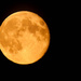 24th July 2013 Golden Moon by pamknowler