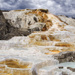 Mammoth Hot Springs by lisabell