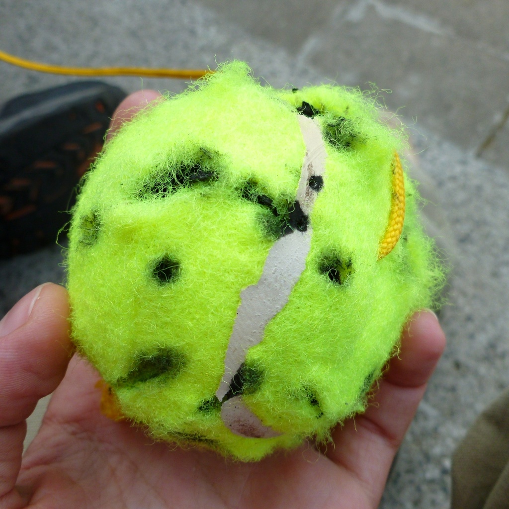 Tennis ball by gabis