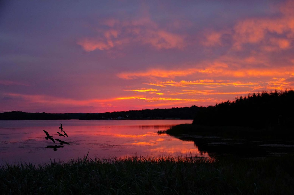 Morning Sunrise Over Orangeville by pdulis