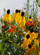 28th Jul 2013 - Shoreline Habitat