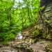 Parfrey's Glen (please view large - totally different feel) by myhrhelper