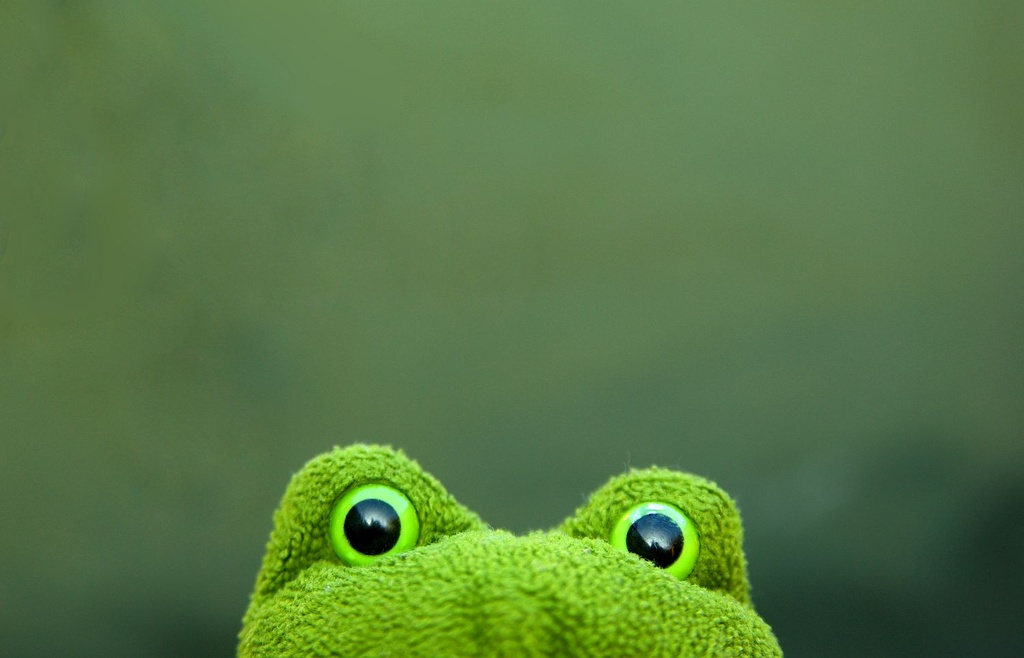 (Day 165) - Frog Eyes by cjphoto