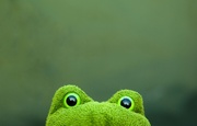 28th Jul 2013 - (Day 165) - Frog Eyes