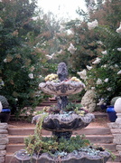5th Jul 2013 - Succulent Fountain