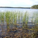 Lake Inari - Inarijärvi by kanelipulla