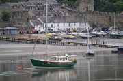 29th Jul 2013 - Conwy Quay.