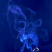 Smoke I by rachel70