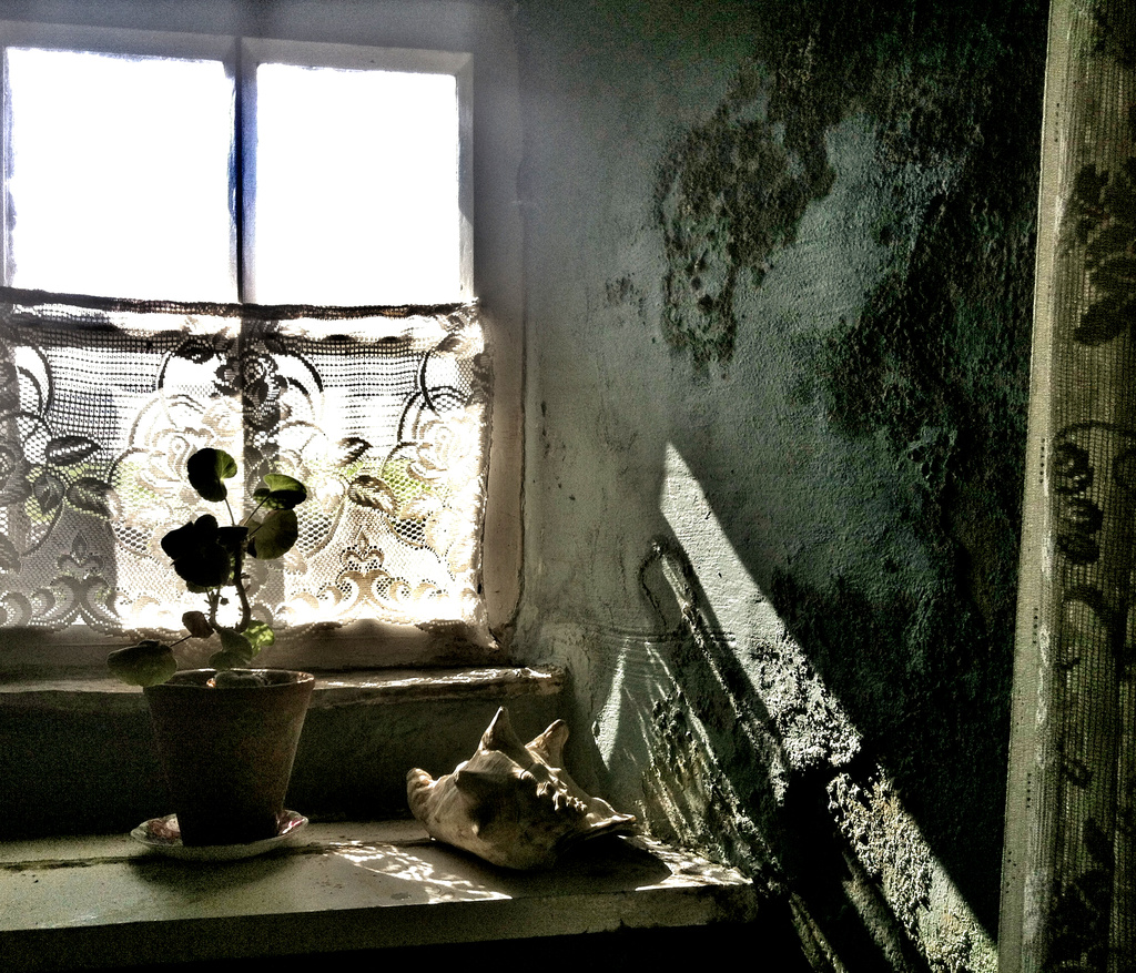 kirbister sitting room window by ingrid2101