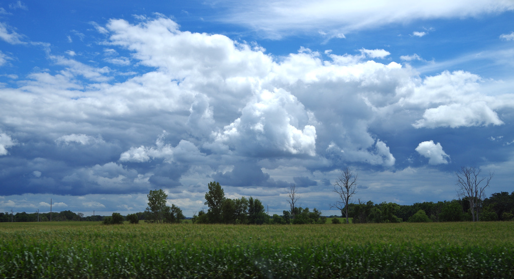 Clouds in Farm Country by houser934