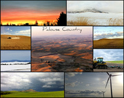 29th Jul 2013 - Palouse Collage