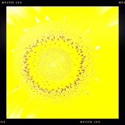 28th Jul 2013 - Sunflower II