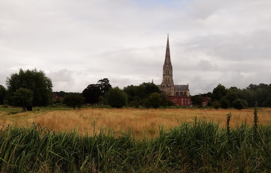 Salisbury cathedral a meadow view - 30-7 by barrowlane