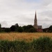 Salisbury cathedral a meadow view - 30-7 by barrowlane