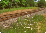 30th Jul 2013 - Railroad tracks