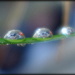 Panoramic  droplets! by judithdeacon