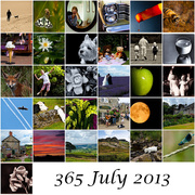 30th Jul 2013 - 31st July 2013 July mozaic