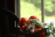 31st Jul 2013 - An Italian Harvest