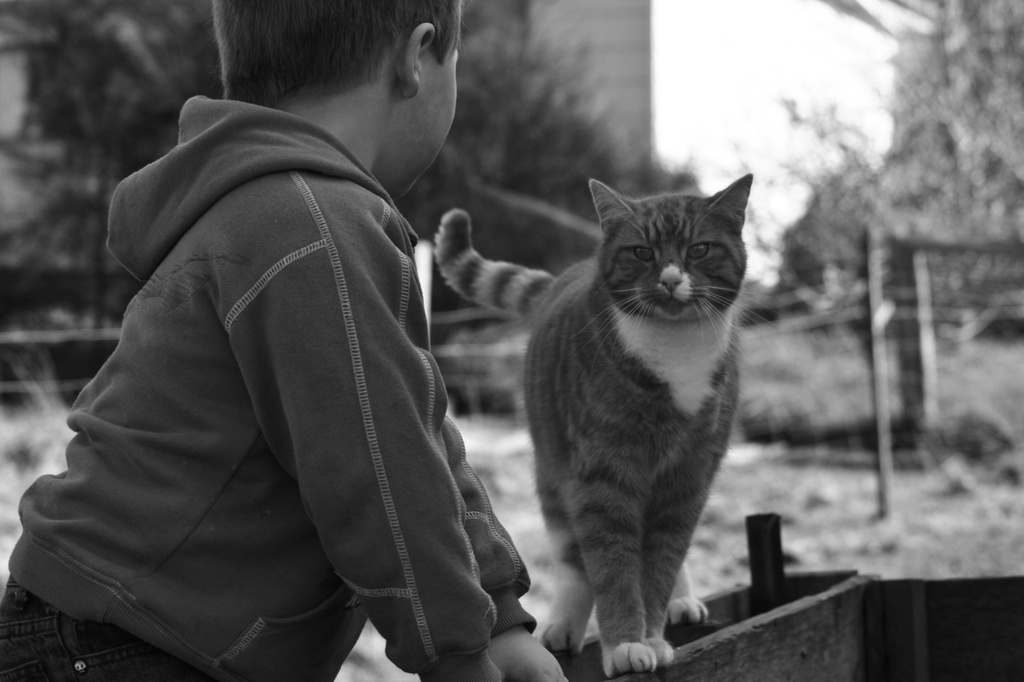The Kid & The Cat by wenbow