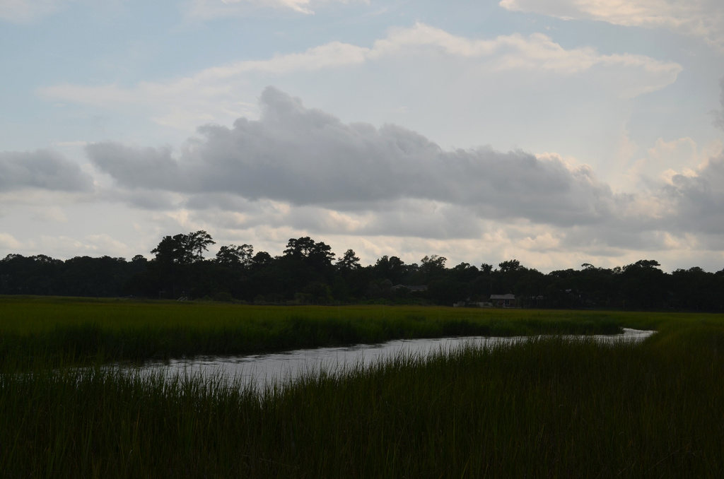 Old Towne Creek and salt marsh, Charleston, SC by congaree