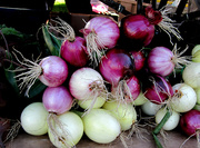 31st Jul 2013 - Onions