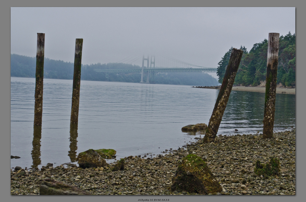 The Tacoma Narrows Bridges by byrdlip