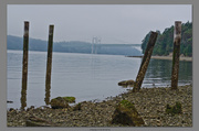 31st Jul 2013 - The Tacoma Narrows Bridges