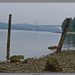 The Tacoma Narrows Bridges by byrdlip