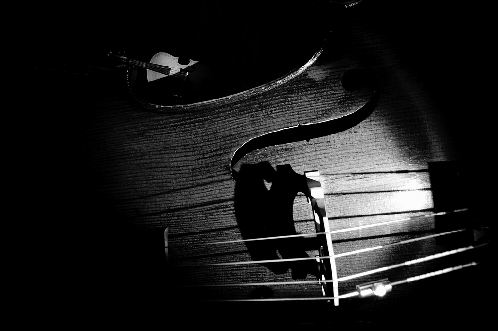 cellos by yaorenliu