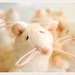soft white mice by filsie65