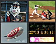 1st Aug 2013 - Paw Sox game