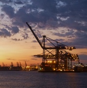 1st Aug 2013 - The docks at sunset
